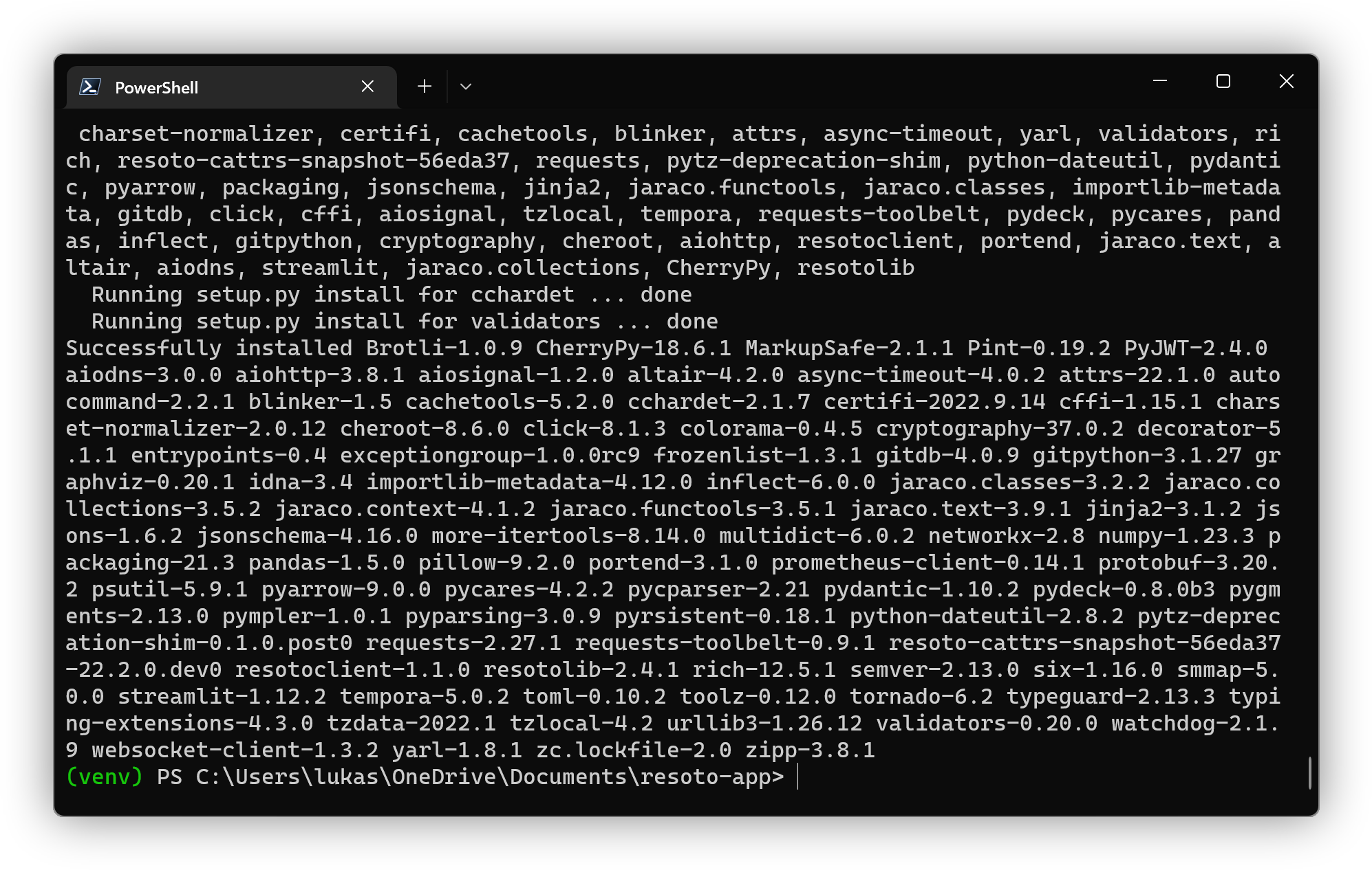 Screenshot of dependency installation on Windows